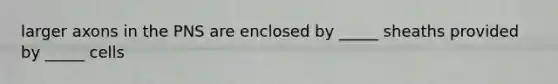 larger axons in the PNS are enclosed by _____ sheaths provided by _____ cells