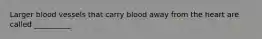 Larger blood vessels that carry blood away from the heart are called __________.