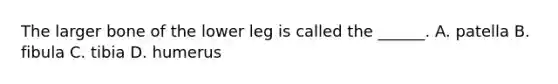 The larger bone of the lower leg is called the ______. A. patella B. fibula C. tibia D. humerus