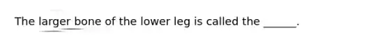 The larger bone of the lower leg is called the ______.