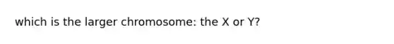 which is the larger chromosome: the X or Y?