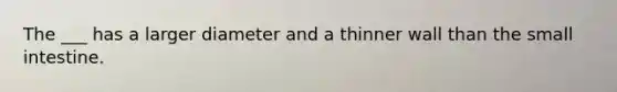 The ___ has a larger diameter and a thinner wall than <a href='https://www.questionai.com/knowledge/kt623fh5xn-the-small-intestine' class='anchor-knowledge'>the small intestine</a>.