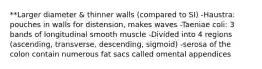 **Larger diameter & thinner walls (compared to SI) -Haustra: pouches in walls for distension, makes waves -Taeniae coli: 3 bands of longitudinal smooth muscle -Divided into 4 regions (ascending, transverse, descending, sigmoid) -serosa of the colon contain numerous fat sacs called omental appendices