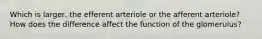 Which is larger, the efferent arteriole or the afferent arteriole? How does the difference affect the function of the glomerulus?