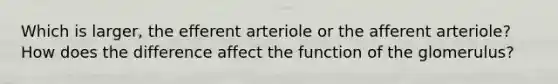 Which is larger, the efferent arteriole or the afferent arteriole? How does the difference affect the function of the glomerulus?