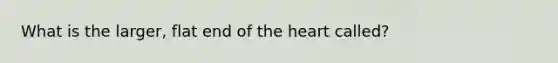 What is the larger, flat end of the heart called?