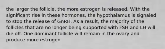 the larger the follicle, the more estrogen is released. With the significant rise in these hormones, the hypothalamus is signaled to stop the release of GnRH. As a result, the majority of the follicles that are no longer being supported with FSH and LH will die off. One dominant follicle will remain in the ovary and produce more estrogen