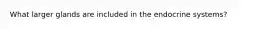 What larger glands are included in the endocrine systems?