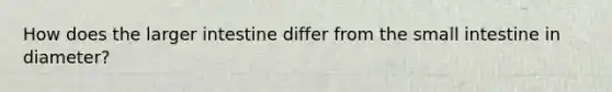 How does the larger intestine differ from the small intestine in diameter?