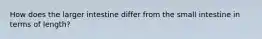 How does the larger intestine differ from the small intestine in terms of length?