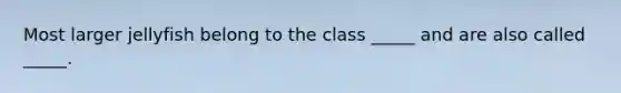 Most larger jellyfish belong to the class _____ and are also called _____.