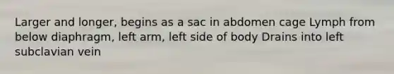 Larger and longer, begins as a sac in abdomen cage Lymph from below diaphragm, left arm, left side of body Drains into left subclavian vein