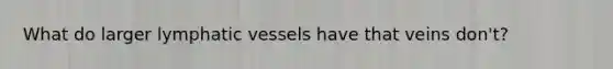 What do larger lymphatic vessels have that veins don't?