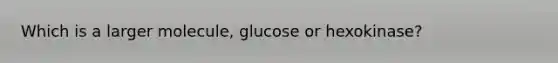 Which is a larger molecule, glucose or hexokinase?