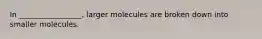 In _________________, larger molecules are broken down into smaller molecules.