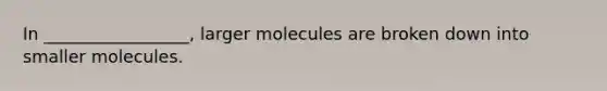 In _________________, larger molecules are broken down into smaller molecules.