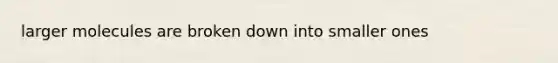 larger molecules are broken down into smaller ones
