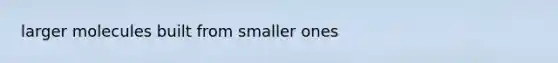 larger molecules built from smaller ones
