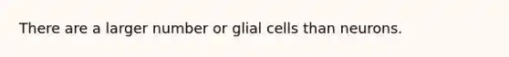 There are a larger number or glial cells than neurons.