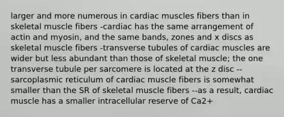 larger and more numerous in cardiac muscles fibers than in skeletal muscle fibers -cardiac has the same arrangement of actin and myosin, and the same bands, zones and x discs as skeletal muscle fibers -transverse tubules of cardiac muscles are wider but less abundant than those of skeletal muscle; the one transverse tubule per sarcomere is located at the z disc --sarcoplasmic reticulum of cardiac muscle fibers is somewhat smaller than the SR of skeletal muscle fibers --as a result, cardiac muscle has a smaller intracellular reserve of Ca2+