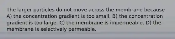 The larger particles do not move across the membrane because A) the concentration gradient is too small. B) the concentration gradient is too large. C) the membrane is impermeable. D) the membrane is selectively permeable.