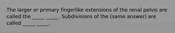 The larger or primary fingerlike extensions of the renal pelvis are called the _____ _____. Subdivisions of the (same answer) are called _____ _____.