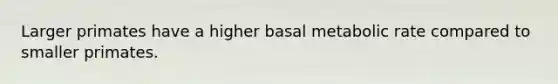 Larger primates have a higher basal metabolic rate compared to smaller primates.