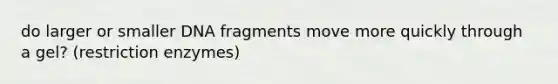 do larger or smaller DNA fragments move more quickly through a gel? (restriction enzymes)