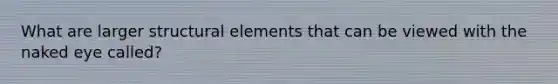 What are larger structural elements that can be viewed with the naked eye called?