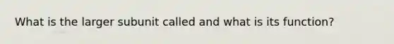 What is the larger subunit called and what is its function?