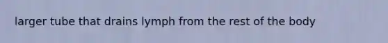 larger tube that drains lymph from the rest of the body