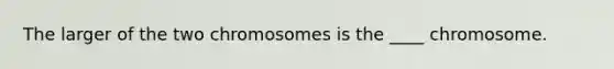 The larger of the two chromosomes is the ____ chromosome.