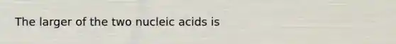 The larger of the two nucleic acids is