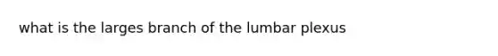 what is the larges branch of the lumbar plexus