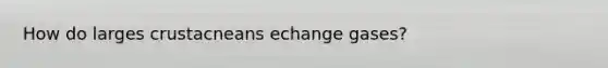 How do larges crustacneans echange gases?