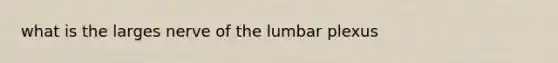 what is the larges nerve of the lumbar plexus