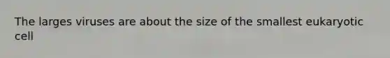 The larges viruses are about the size of the smallest eukaryotic cell