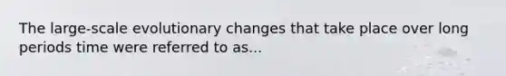 The large-scale evolutionary changes that take place over long periods time were referred to as...