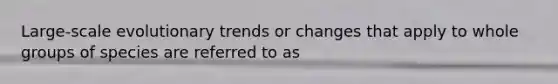 Large-scale evolutionary trends or changes that apply to whole groups of species are referred to as