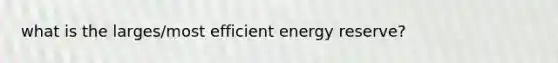 what is the larges/most efficient energy reserve?