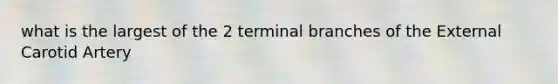 what is the largest of the 2 terminal branches of the External Carotid Artery