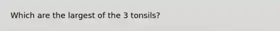 Which are the largest of the 3 tonsils?