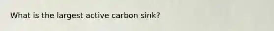 What is the largest active carbon sink?