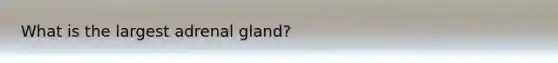 What is the largest adrenal gland?