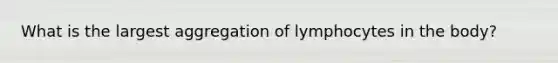 What is the largest aggregation of lymphocytes in the body?