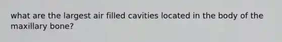 what are the largest air filled cavities located in the body of the maxillary bone?