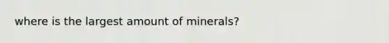 where is the largest amount of minerals?