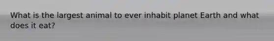 What is the largest animal to ever inhabit planet Earth and what does it eat?