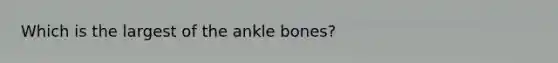 Which is the largest of the ankle bones?