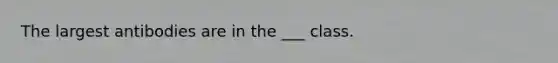 The largest antibodies are in the ___ class.